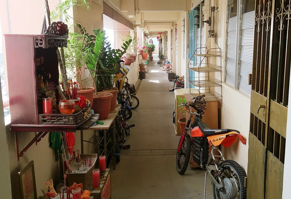 Plants and bicycles in the shared corridor of a Singapore HDB block